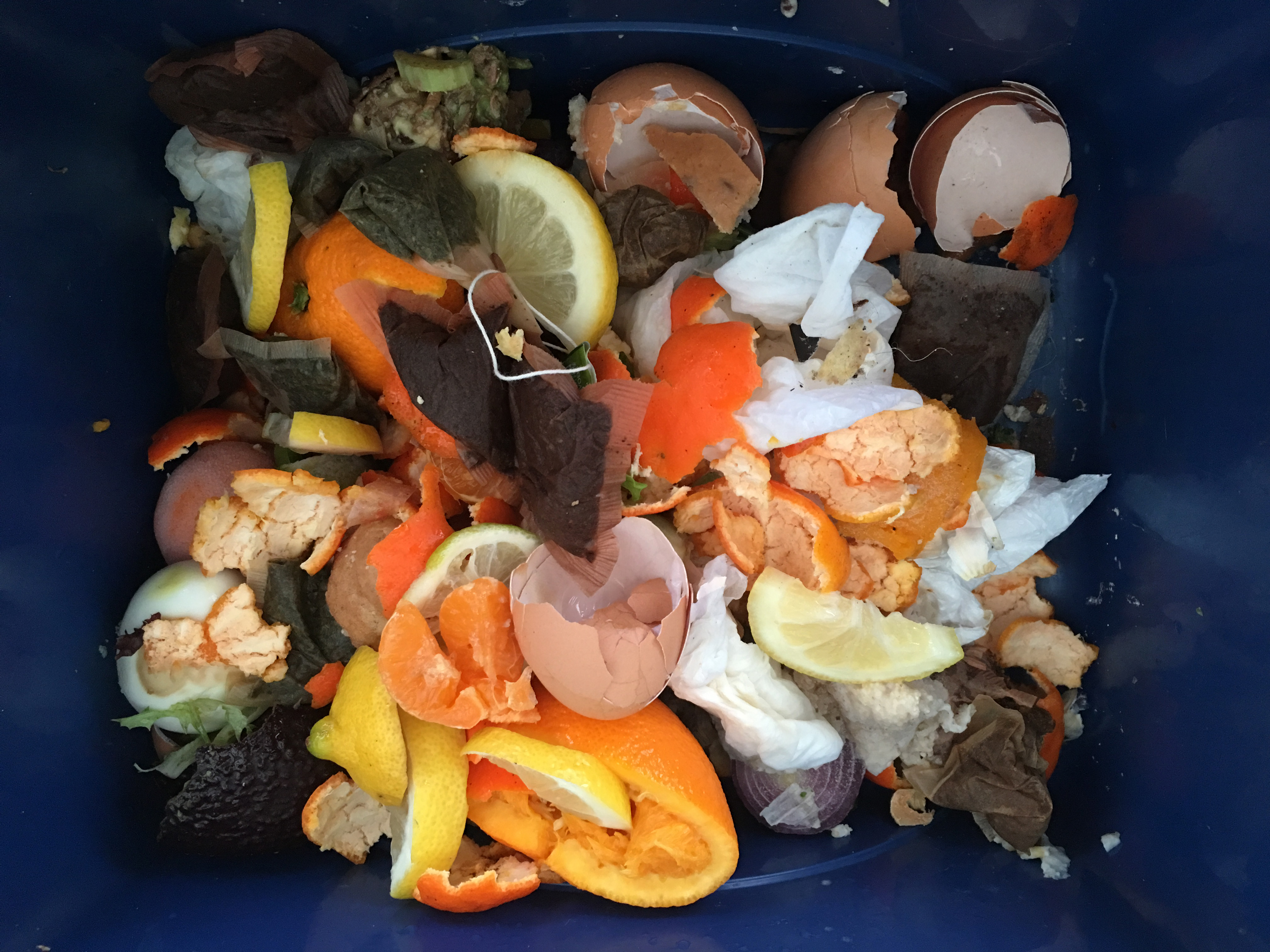 食品和园艺废料