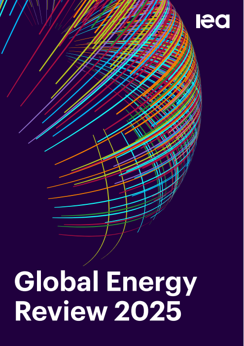 国际能源署（IEA）《2025年电力报告》分析